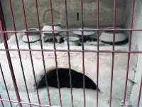 Image1254