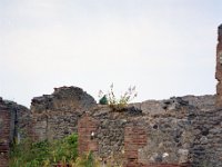 Image64