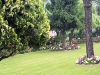 Image1267