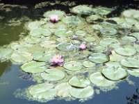 Image69