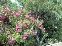 Image55
