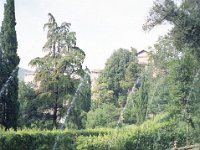 Image39