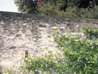 Image59