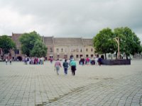 Image6