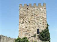 Image61