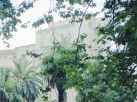 Image7
