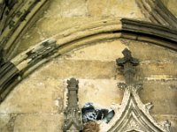 Image30