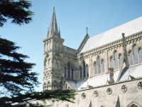 Image31