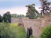 Image7