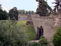 Image8