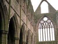 Image19